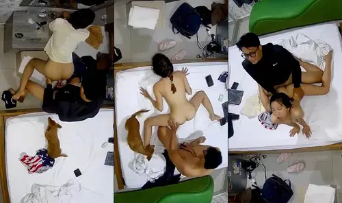 Em nữ sinh dẫn theo cả chó đi học nhóm bạn trong nhà nghỉ
